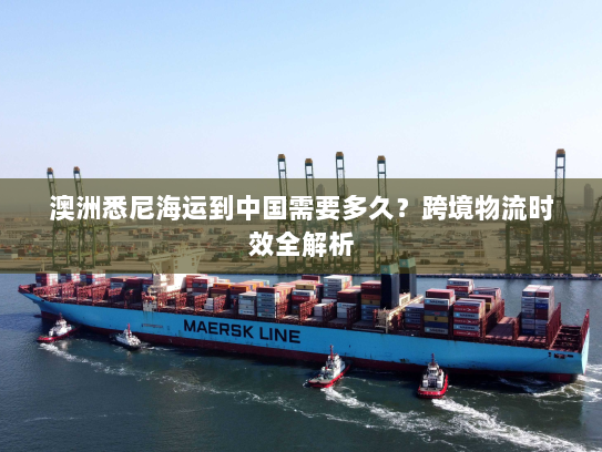澳洲悉尼海运到中国需要多久？跨境物流时效全解析
