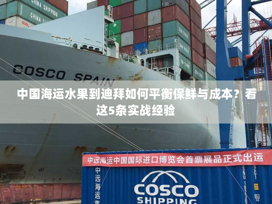 中国海运水果到迪拜如何平衡保鲜与成本?看这5条实战经验 中国海运水果到迪拜如何平衡保鲜与成本?看这5条实战经验