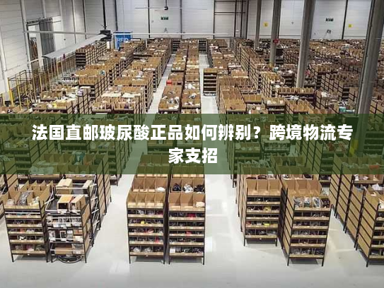 法国直邮玻尿酸正品如何辨别?跨境物流专家支招 法国直邮玻尿酸正品如何辨别?跨境物流专家支招