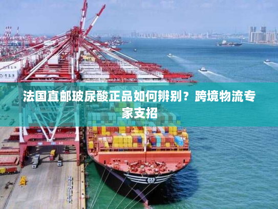 法国直邮玻尿酸正品如何辨别?跨境物流专家支招 法国直邮玻尿酸正品如何辨别?跨境物流专家支招