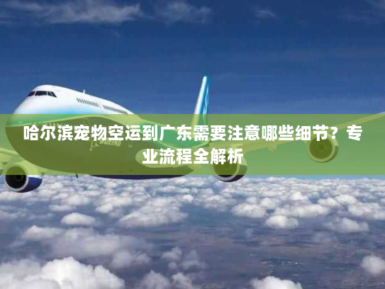 哈尔滨宠物空运到广东需要注意哪些细节?专业流程全解析 哈尔滨宠物空运到广东需要注意哪些细节?专业流程全解析