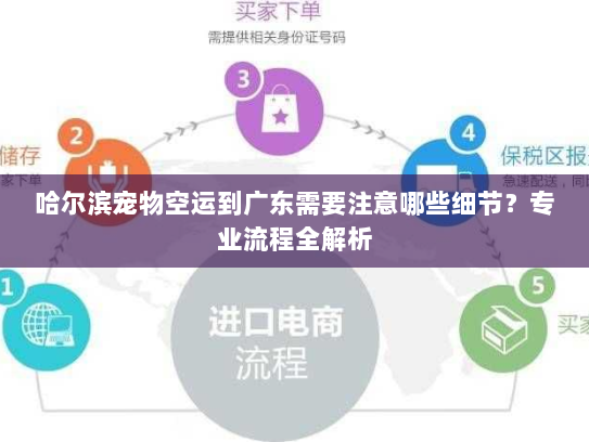 哈尔滨宠物空运到广东需要注意哪些细节?专业流程全解析 哈尔滨宠物空运到广东需要注意哪些细节?专业流程全解析