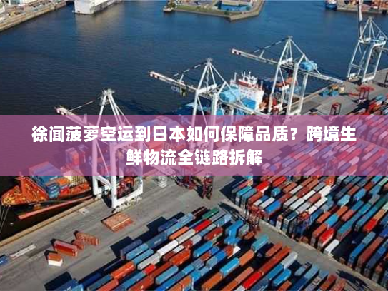 徐闻菠萝空运到日本如何保障品质？跨境生鲜物流全链路拆解