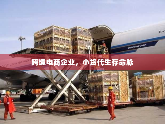 跨境电商企业，小货代生存命脉