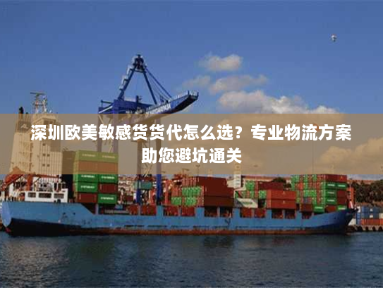 深圳欧美敏感货货代怎么选?专业物流方案助您避坑通关 深圳欧美敏感货货代怎么选?专业物流方案助您避坑通关