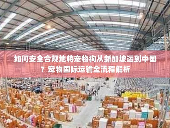 如何安全合规地将宠物狗从新加坡运到中国?宠物国际运输全流程解析 如何安全合规地将宠物狗从新加坡运到中国?宠物国际运输全流程解析