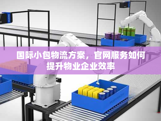 国际小包物流方案，官网服务如何提升物业企业效率