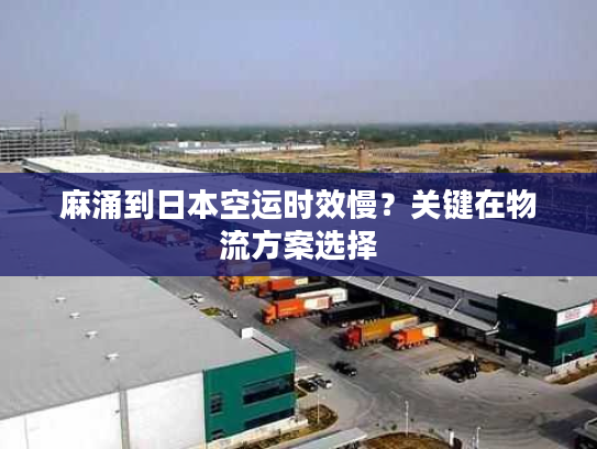 麻涌到日本空运时效慢？关键在物流方案选择