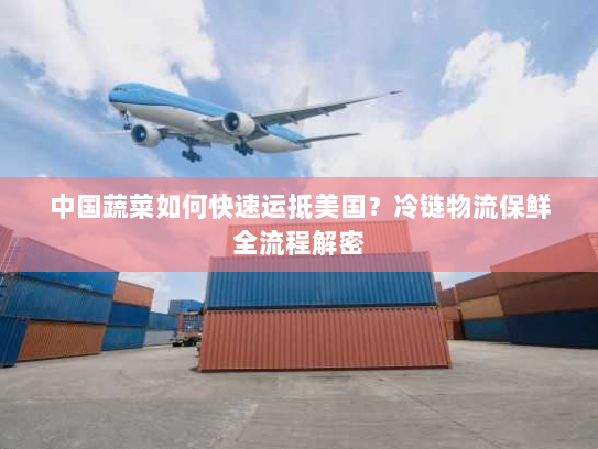 中国蔬菜如何快速运抵美国？冷链物流保鲜全流程解密