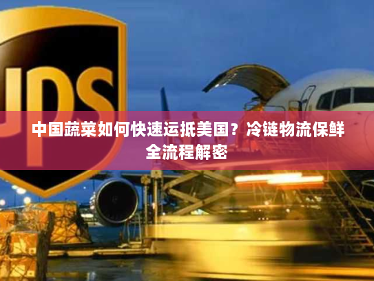 中国蔬菜如何快速运抵美国？冷链物流保鲜全流程解密