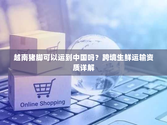 越南猪脚可以运到中国吗?跨境生鲜运输资质详解 越南猪脚可以运到中国吗?跨境生鲜运输资质详解