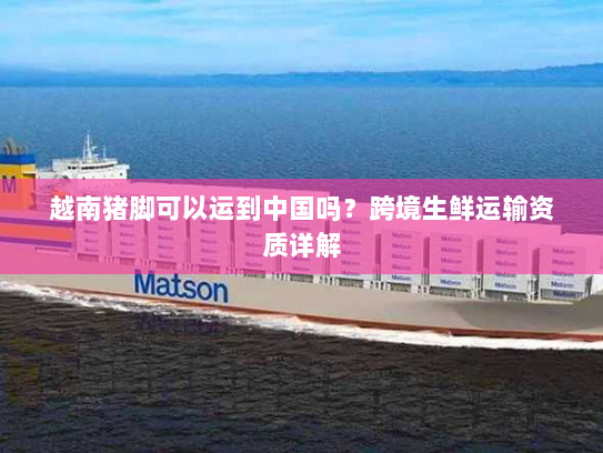 越南猪脚可以运到中国吗?跨境生鲜运输资质详解 越南猪脚可以运到中国吗?跨境生鲜运输资质详解