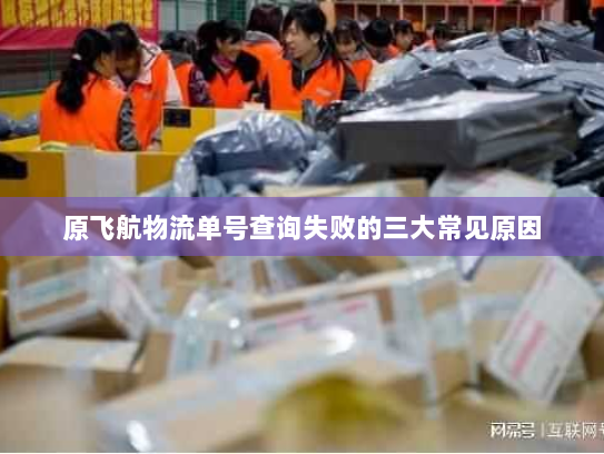 原飞航物流单号查询失败的三大常见原因
