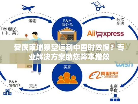 安庆柬埔寨空运到中国时效慢？专业解决方案助您降本增效