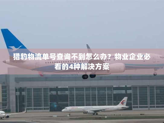 猎豹物流单号查询不到怎么办?物业企业必看的4种解决方案 猎豹物流单号查询不到怎么办?物业企业必看的4种解决方案
