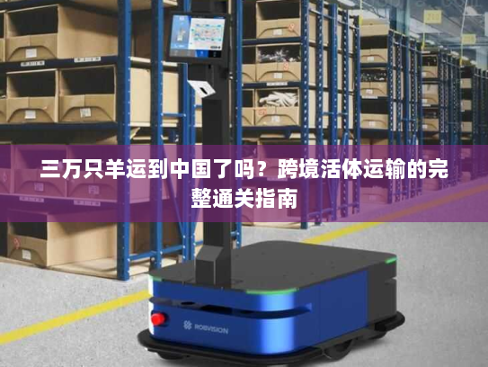 三万只羊运到中国了吗?跨境活体运输的完整通关指南 三万只羊运到中国了吗?跨境活体运输的完整通关指南