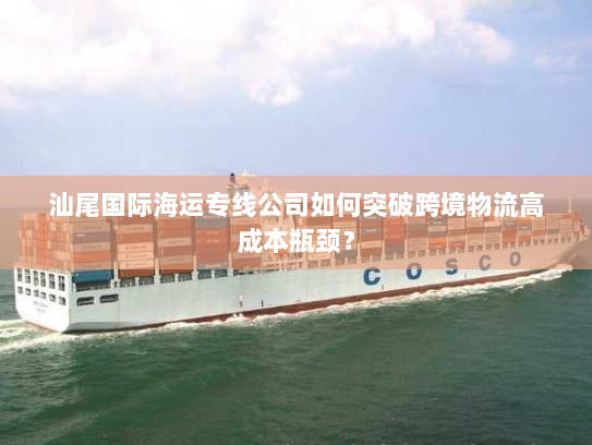 汕尾国际海运专线公司如何突破跨境物流高成本瓶颈? 汕尾国际海运专线公司如何突破跨境物流高成本瓶颈?