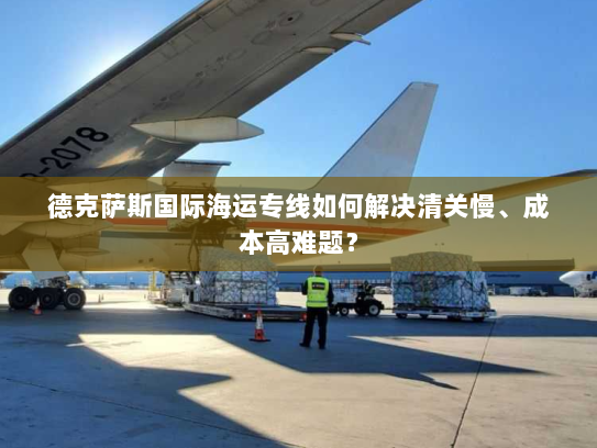 德克萨斯国际海运专线如何解决清关慢、成本高难题? 德克萨斯国际海运专线如何解决清关慢、成本高难题?