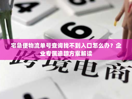 宅急便物流单号查询找不到入口怎么办?企业专属追踪方案解读 宅急便物流单号查询找不到入口怎么办?企业专属追踪方案解读