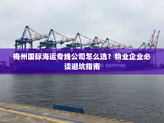 梅州国际海运专线公司怎么选？物业企业必读避坑指南