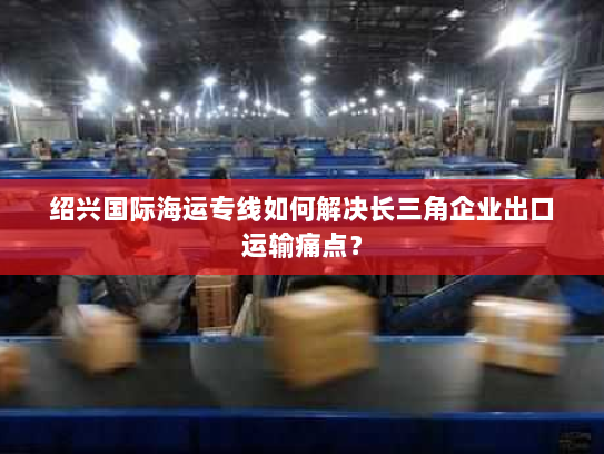 绍兴国际海运专线如何解决长三角企业出口运输痛点？