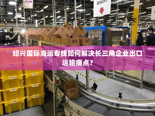 绍兴国际海运专线如何解决长三角企业出口运输痛点？