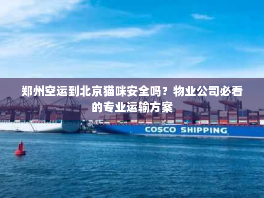 郑州空运到北京猫咪安全吗？物业公司必看的专业运输方案