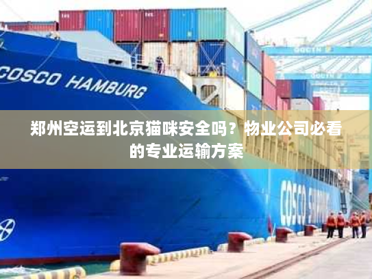 郑州空运到北京猫咪安全吗？物业公司必看的专业运输方案