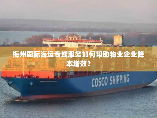 梅州国际海运专线服务如何帮助物业企业降本增效? 梅州国际海运专线服务如何帮助物业企业降本增效?