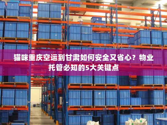 猫咪重庆空运到甘肃如何安全又省心?物业托管必知的5大关键点 猫咪重庆空运到甘肃如何安全又省心?物业托管必知的5大关键点