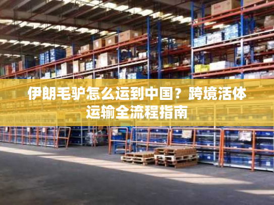 伊朗毛驴怎么运到中国?跨境活体运输全流程指南 伊朗毛驴怎么运到中国?跨境活体运输全流程指南