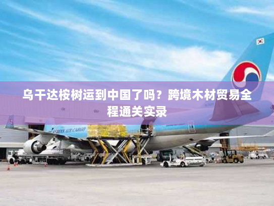 乌干达桉树运到中国了吗?跨境木材贸易全程通关实录 乌干达桉树运到中国了吗?跨境木材贸易全程通关实录