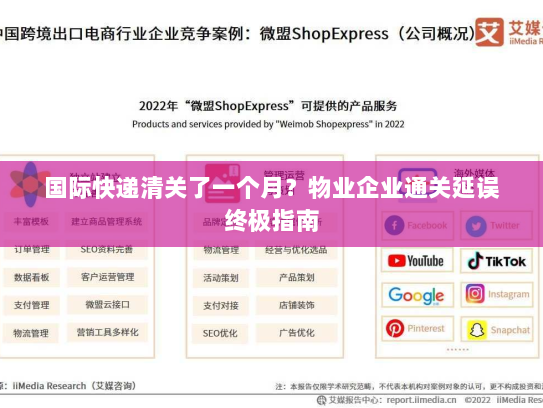 国际快递清关了一个月?物业企业通关延误终极指南 国际快递清关了一个月?物业企业通关延误终极指南
