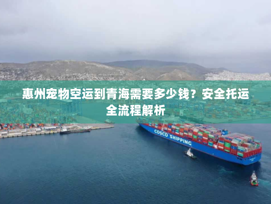 惠州宠物空运到青海需要多少钱？安全托运全流程解析