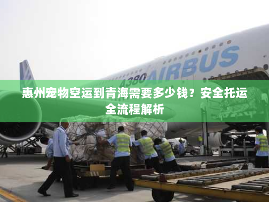 惠州宠物空运到青海需要多少钱?安全托运全流程解析 惠州宠物空运到青海需要多少钱?安全托运全流程解析