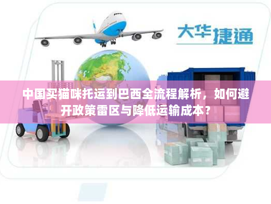 中国买猫咪托运到巴西全流程解析，如何避开政策雷区与降低运输成本？