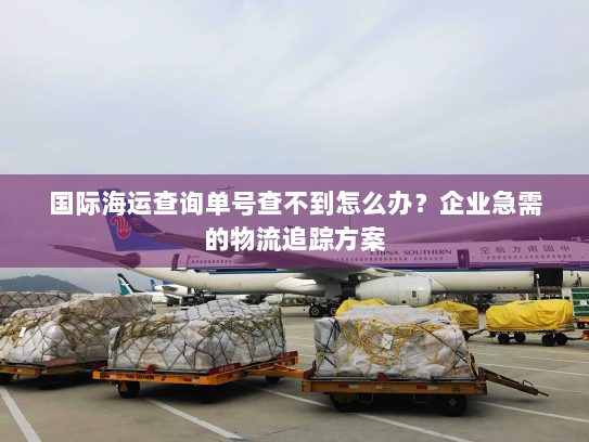 国际海运查询单号查不到怎么办?企业急需的物流追踪方案 国际海运查询单号查不到怎么办?企业急需的物流追踪方案