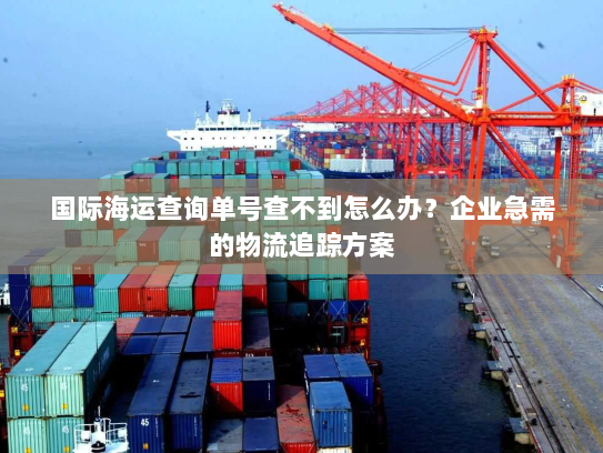 国际海运查询单号查不到怎么办?企业急需的物流追踪方案 国际海运查询单号查不到怎么办?企业急需的物流追踪方案