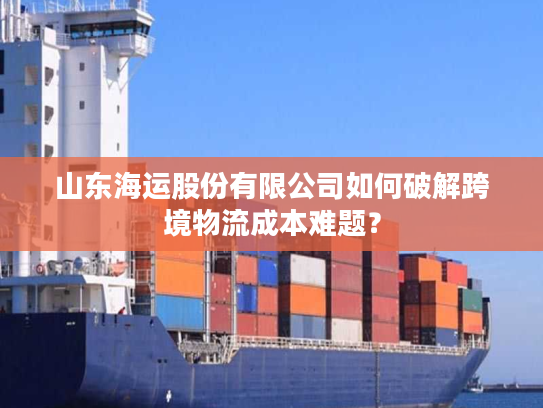 山东海运股份有限公司如何破解跨境物流成本难题？