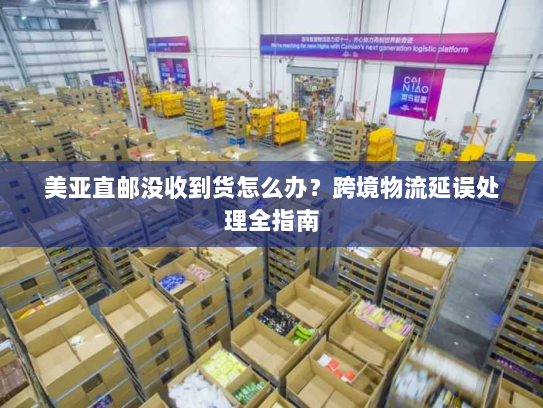美亚直邮没收到货怎么办?跨境物流延误处理全指南 美亚直邮没收到货怎么办?跨境物流延误处理全指南