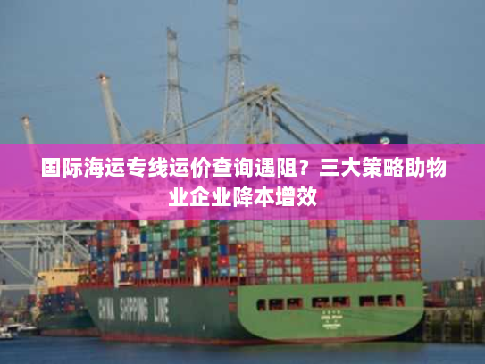 国际海运专线运价查询遇阻？三大策略助物业企业降本增效