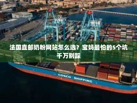 法国直邮奶粉网站怎么选?宝妈最怕的5个坑千万别踩 法国直邮奶粉网站怎么选?宝妈最怕的5个坑千万别踩