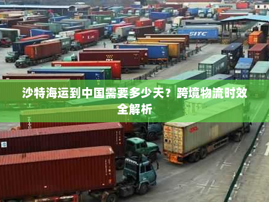 沙特海运到中国需要多少天？跨境物流时效全解析