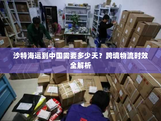 沙特海运到中国需要多少天？跨境物流时效全解析