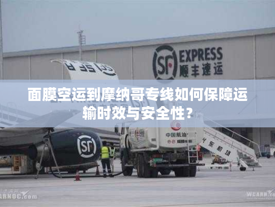 面膜空运到摩纳哥专线如何保障运输时效与安全性？