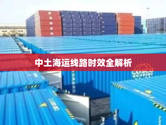 中土海运线路时效全解析