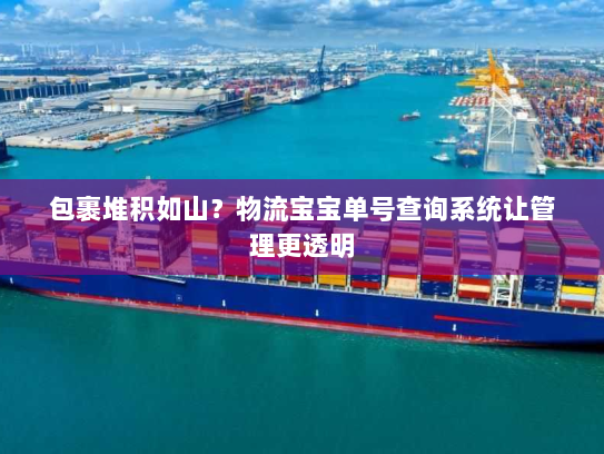 包裹堆积如山？物流宝宝单号查询系统让管理更透明