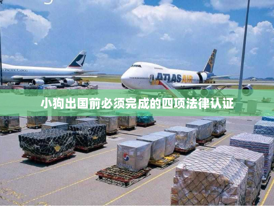 小狗出国前必须完成的四项法律认证 小狗出国前必须完成的四项法律认证