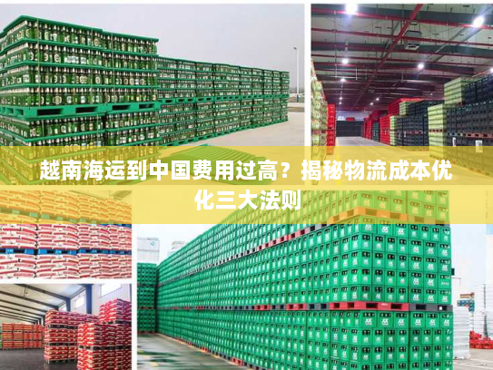 越南海运到中国费用过高？揭秘物流成本优化三大法则