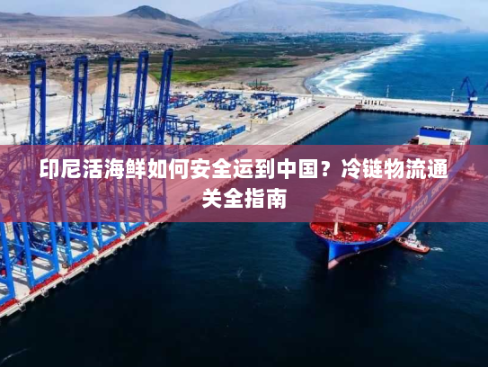 印尼活海鲜如何安全运到中国？冷链物流通关全指南